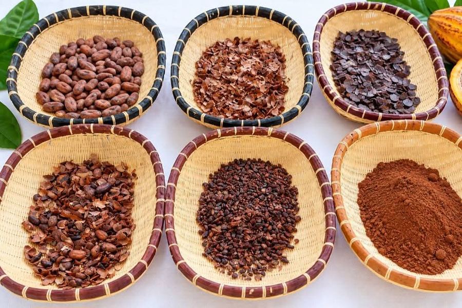 Transformation des fèves en chocolat
